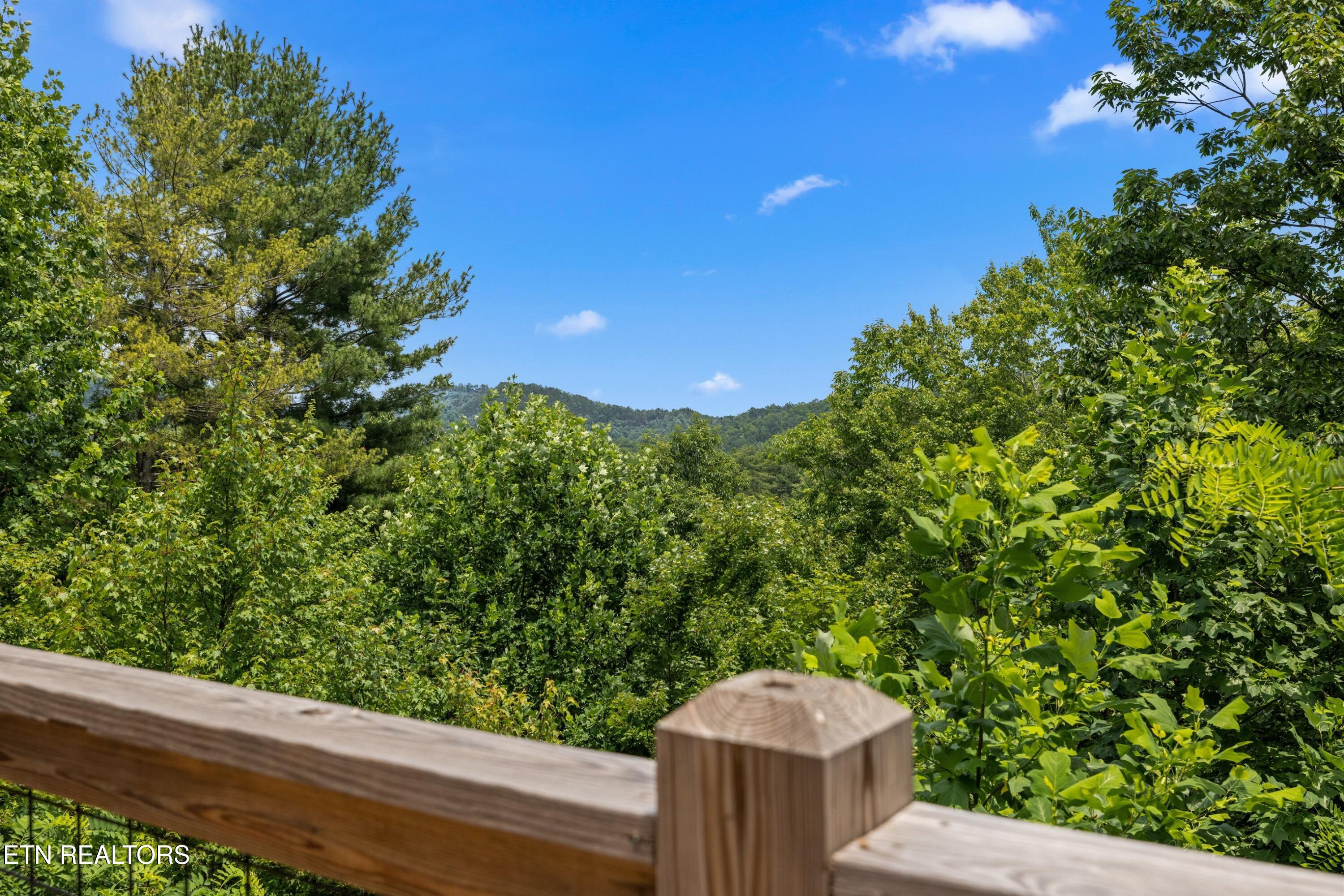 4160 Chamberlain Lane Sevierville, TN 37862 - Photo 2 of 40 042-4160ChamberlainLane-Sevierville-TN-3