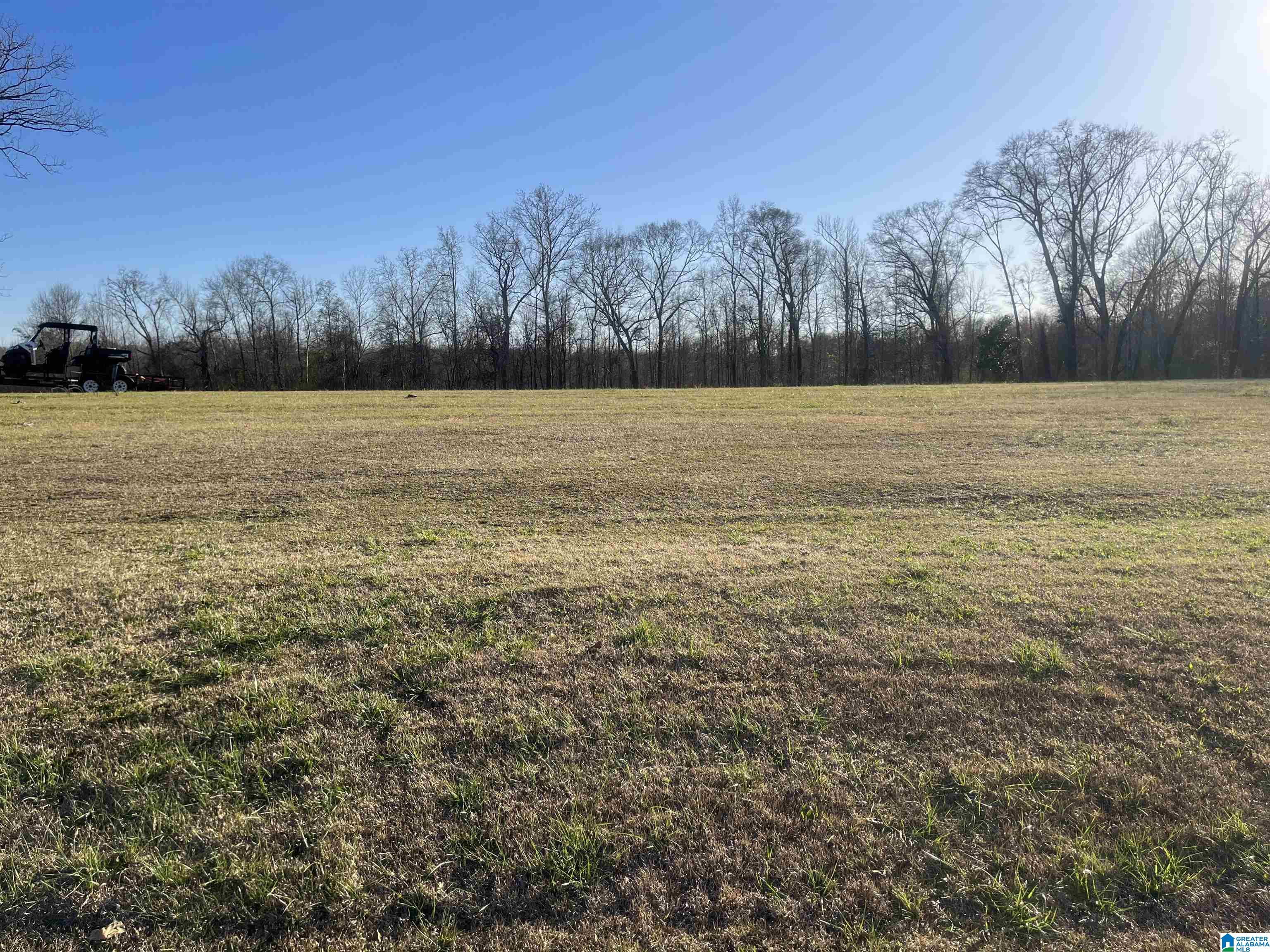 2778 County Road 13 Clanton, AL 35045 - Photo 3 of 3