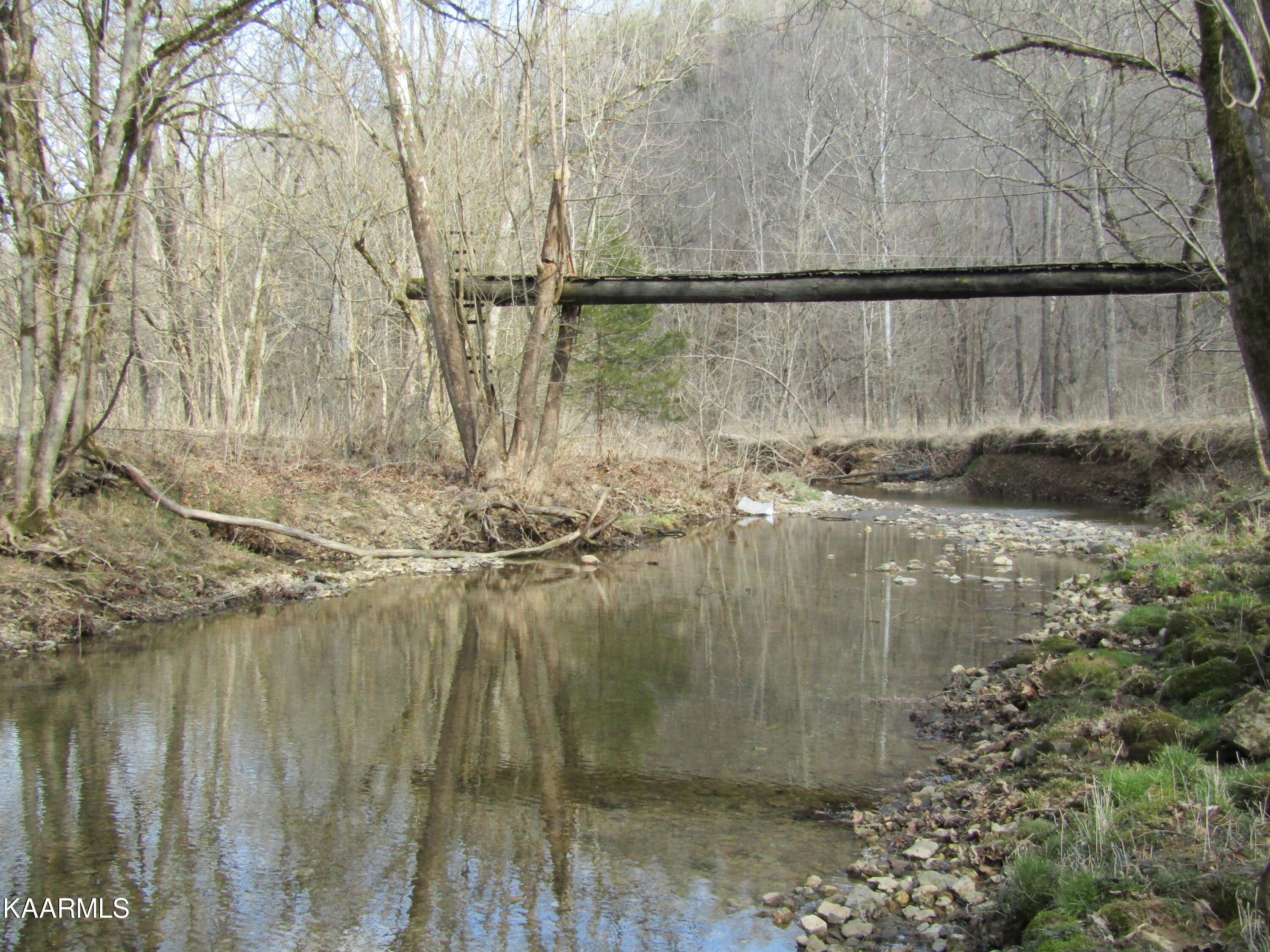0 Add Stafford Road Hilham, TN 38568 - Photo 1 of 30 USE AS MAIN PHOTO