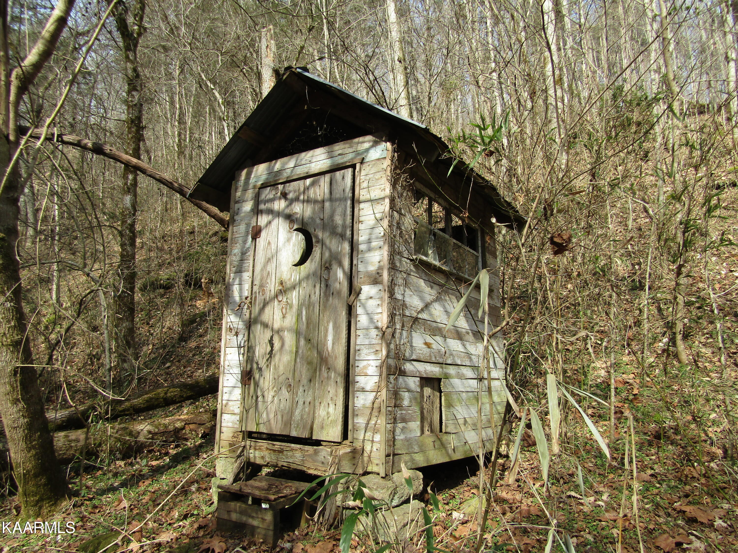 0 Add Stafford Road Hilham, TN 38568 - Photo 10 of 30 IMG_5753