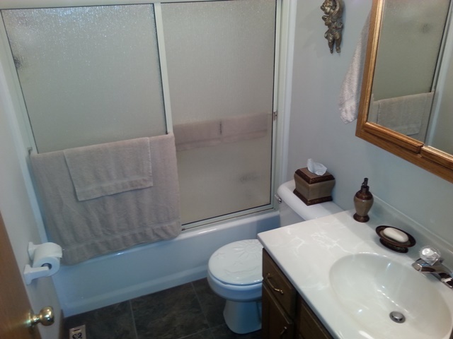 220 Willis Avenue Rochelle, IL 61068 - Photo 11 of 25 a bathroom with a sink a toilet and shower