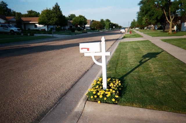 220 Willis Avenue Rochelle, IL 61068 - Photo 24 of 25 a view of a garden