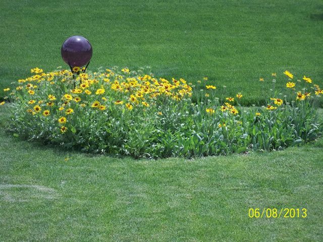 220 Willis Avenue Rochelle, IL 61068 - Photo 25 of 25 a view of a garden
