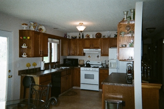 220 Willis Avenue Rochelle, IL 61068 - Photo 4 of 25 a kitchen with cabinets a sink and appliances