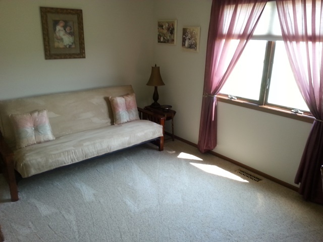 220 Willis Avenue Rochelle, IL 61068 - Photo 9 of 25 a living room with furniture and a window