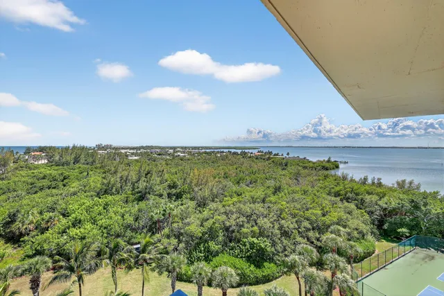 a view of a large yard with lots of green space