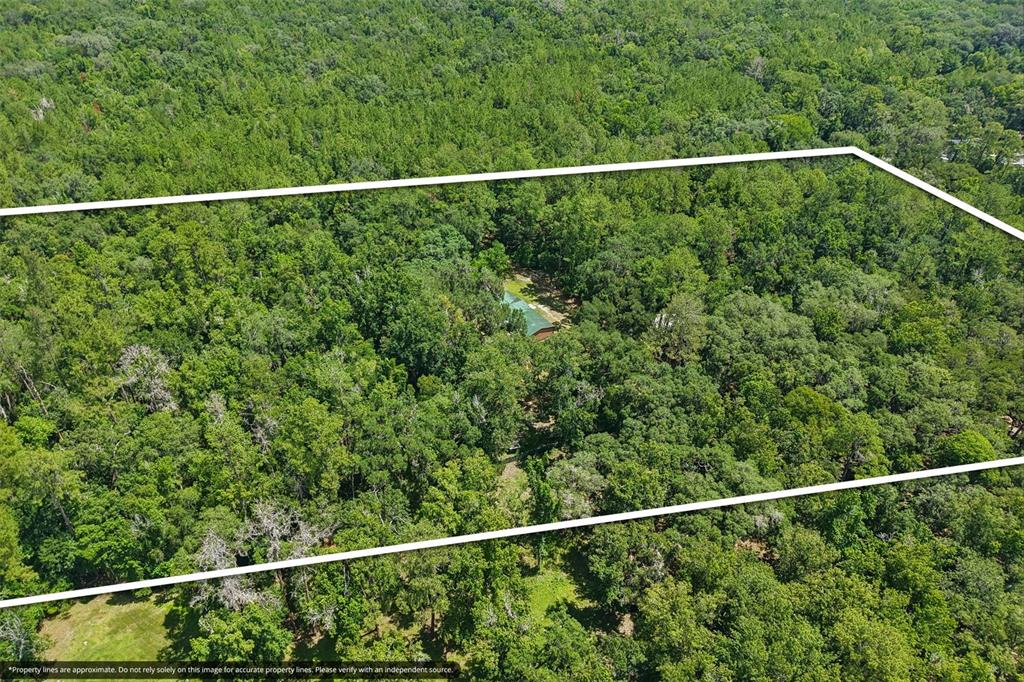 6221 Emerson Road Brooksville, FL 34601 - Photo 32 of 45