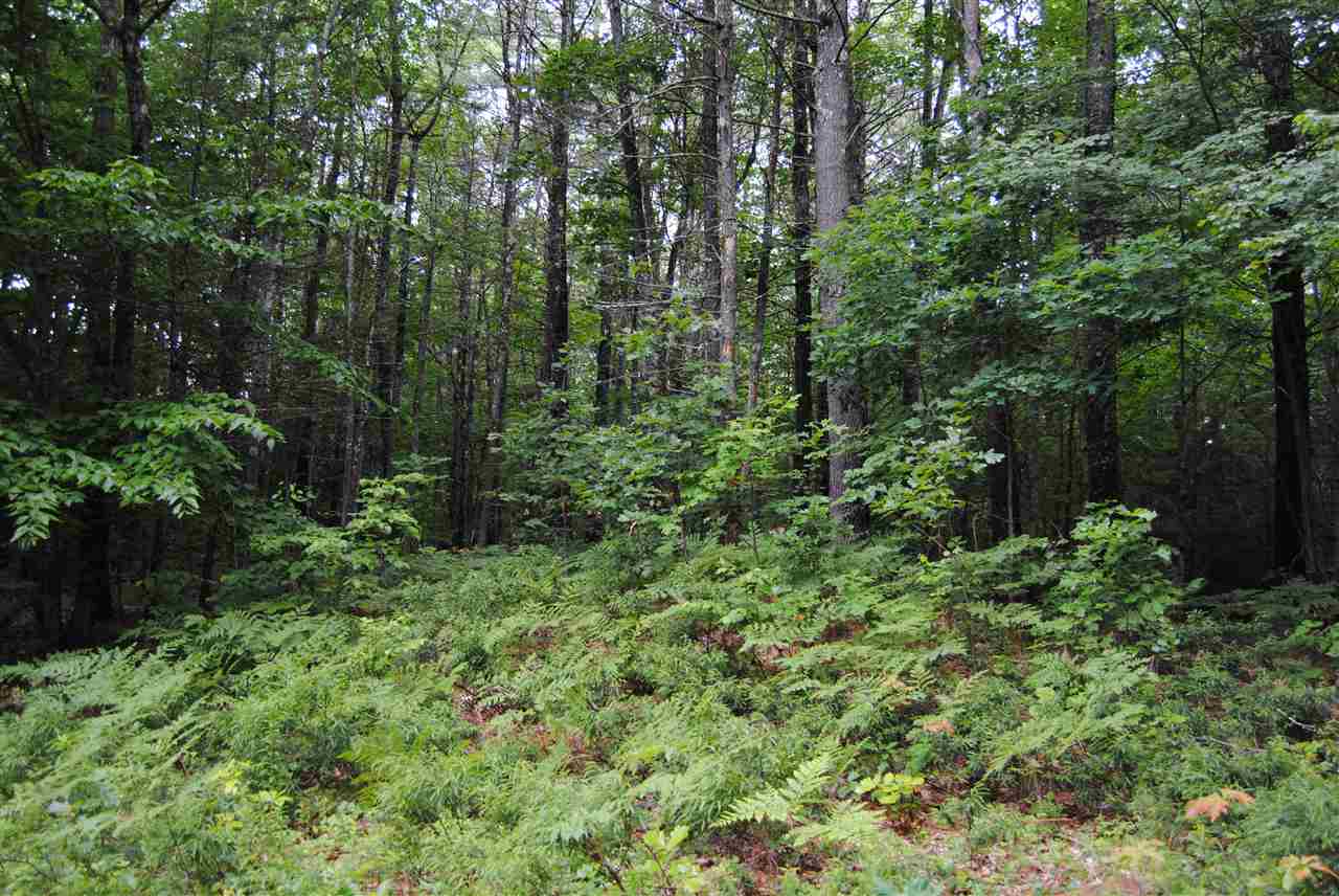 3 East Penacook Road Hopkinton, NH 03229 - Photo 4 of 11