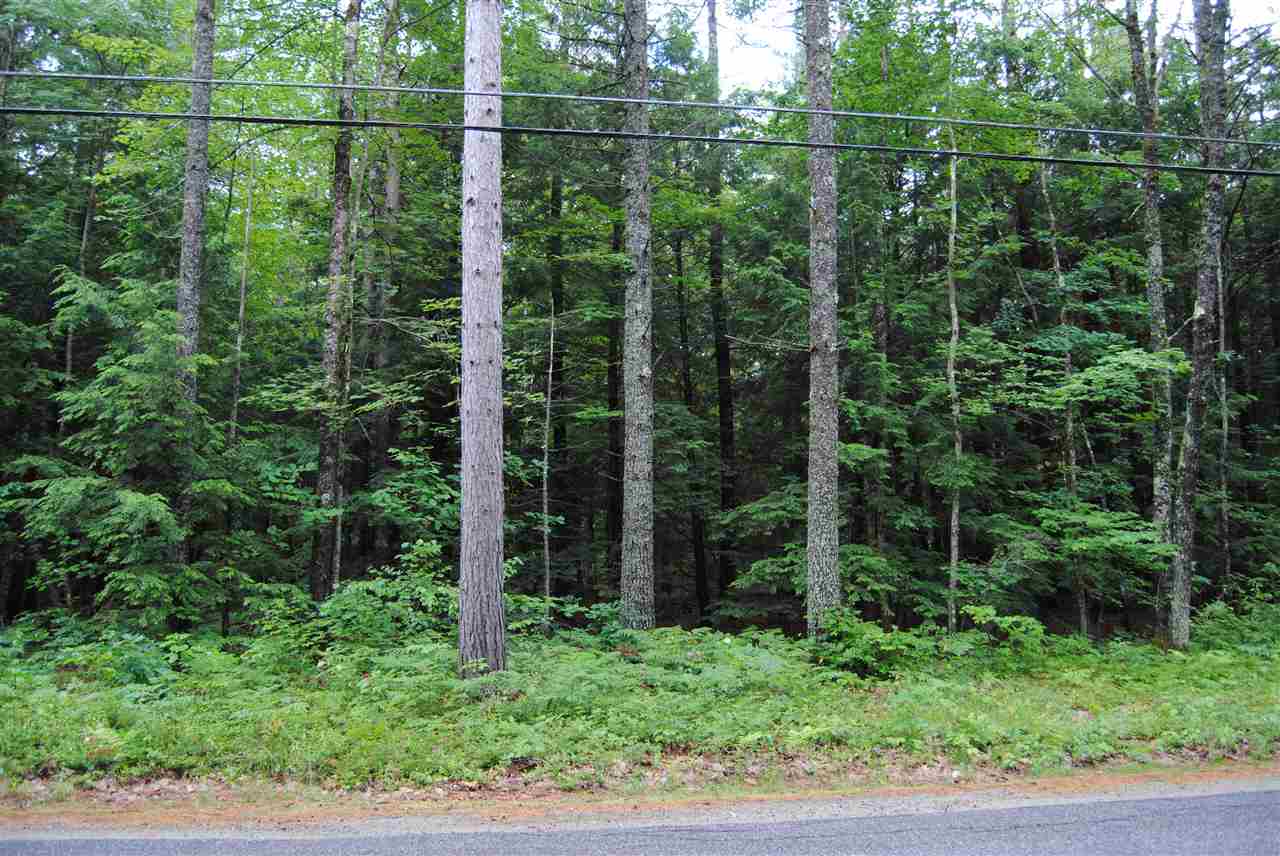 3 East Penacook Road Hopkinton, NH 03229 - Photo 6 of 11