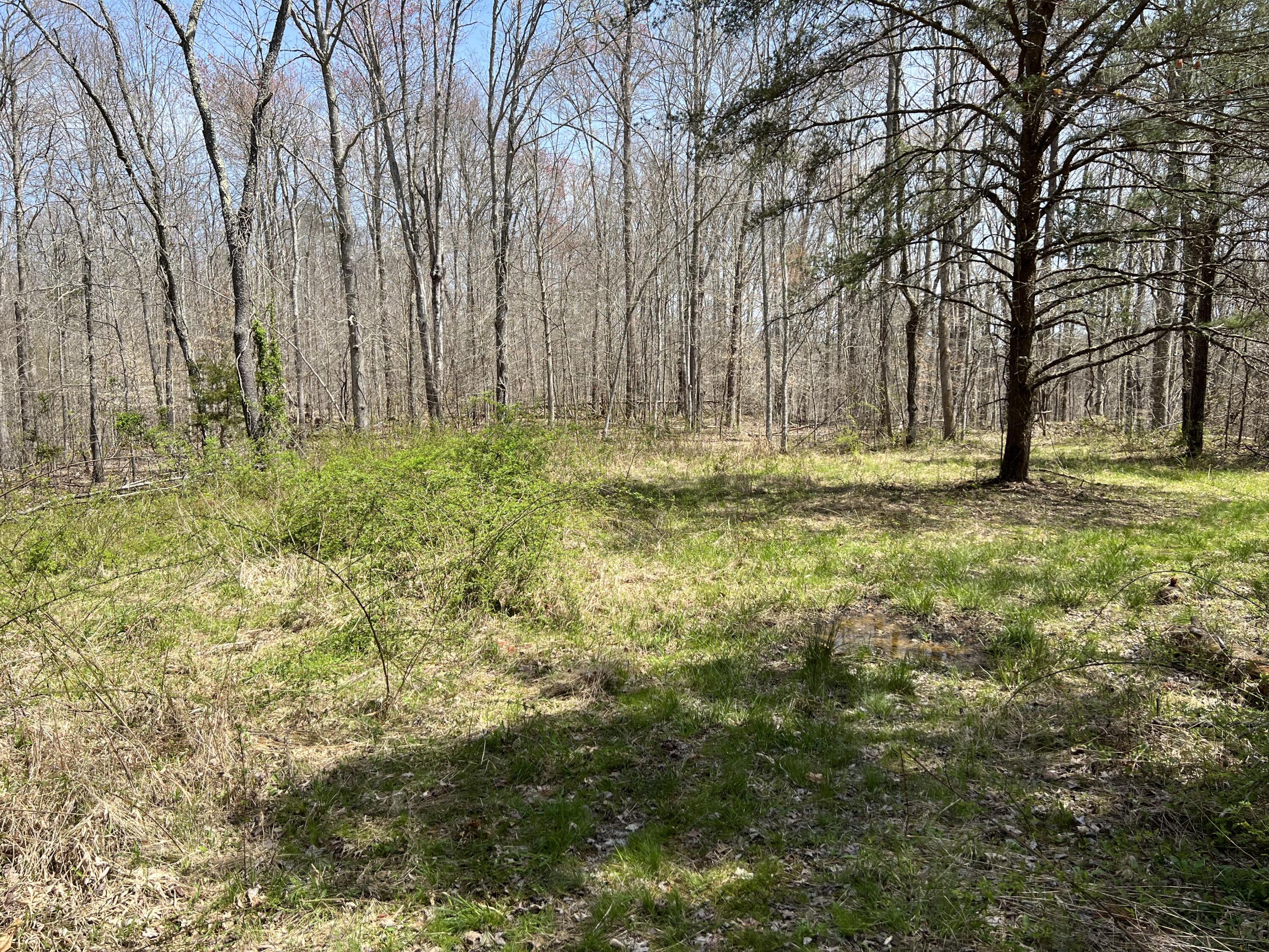 1800 South Tree Tower Road McKee, KY 40447 - Photo 1 of 32 IMG_1164
