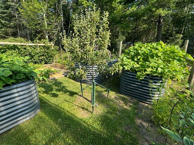 9746 North Whitefish Point Road Paradise, MI 49768 - Photo 55 of 64 Gallery Image 55