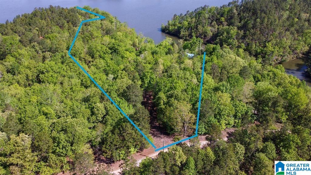 517 Indian Springs Road Rockford, AL 35136 - Photo 29 of 39