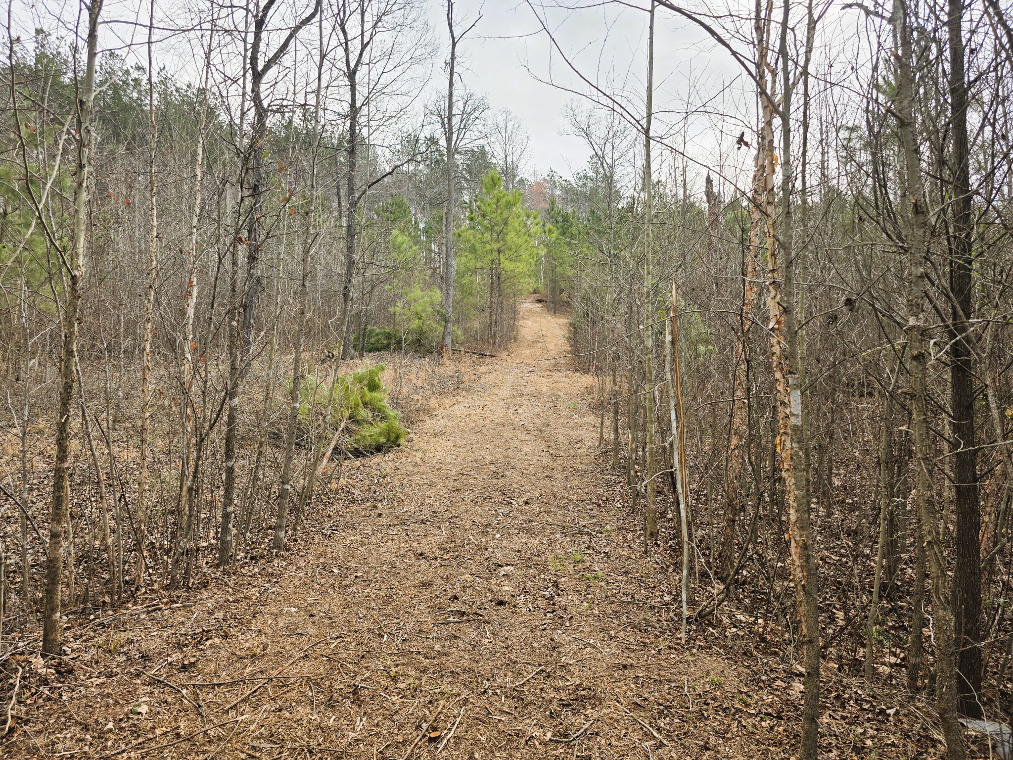 0 Birdsong Road Holladay, TN 38341 - Photo 63 of 70