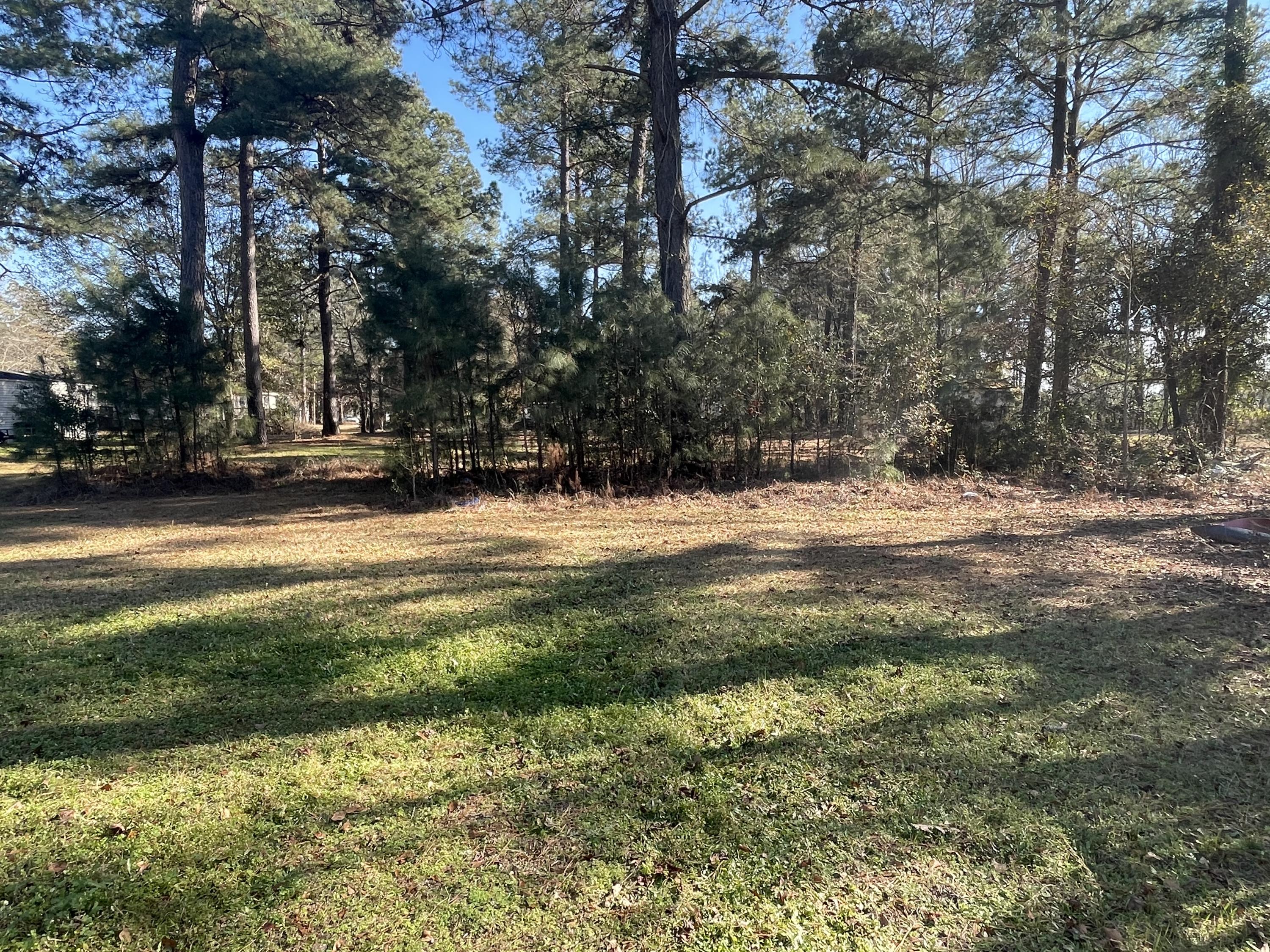222 Smoak Road Walterboro, SC 29488 - Photo 13 of 14 4D60E842-9500-46F5-B024-EBD04DDE46F9