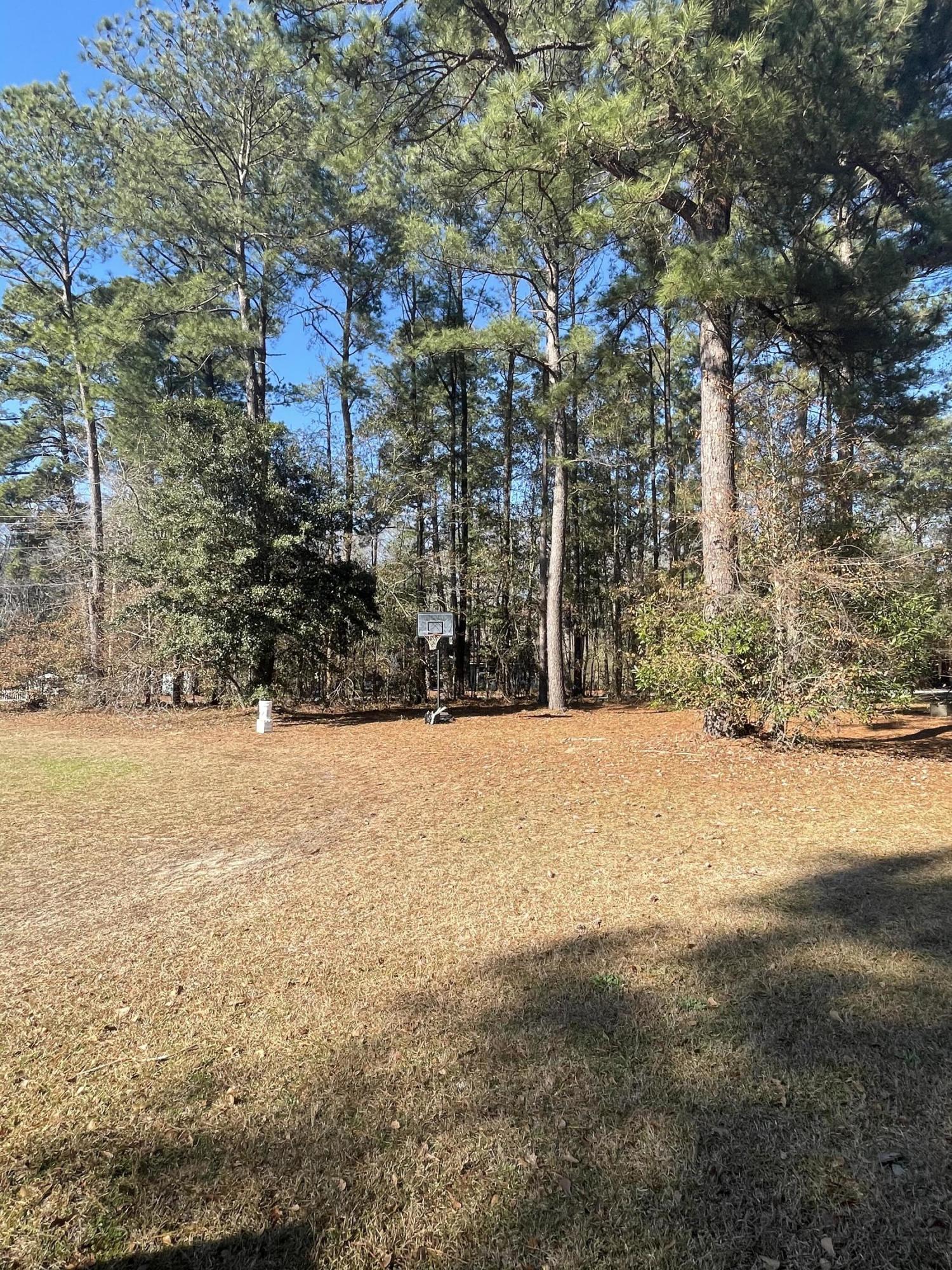 222 Smoak Road Walterboro, SC 29488 - Photo 14 of 14 FA0830C1-DE5C-4FD3-9319-DE74A71A28D8
