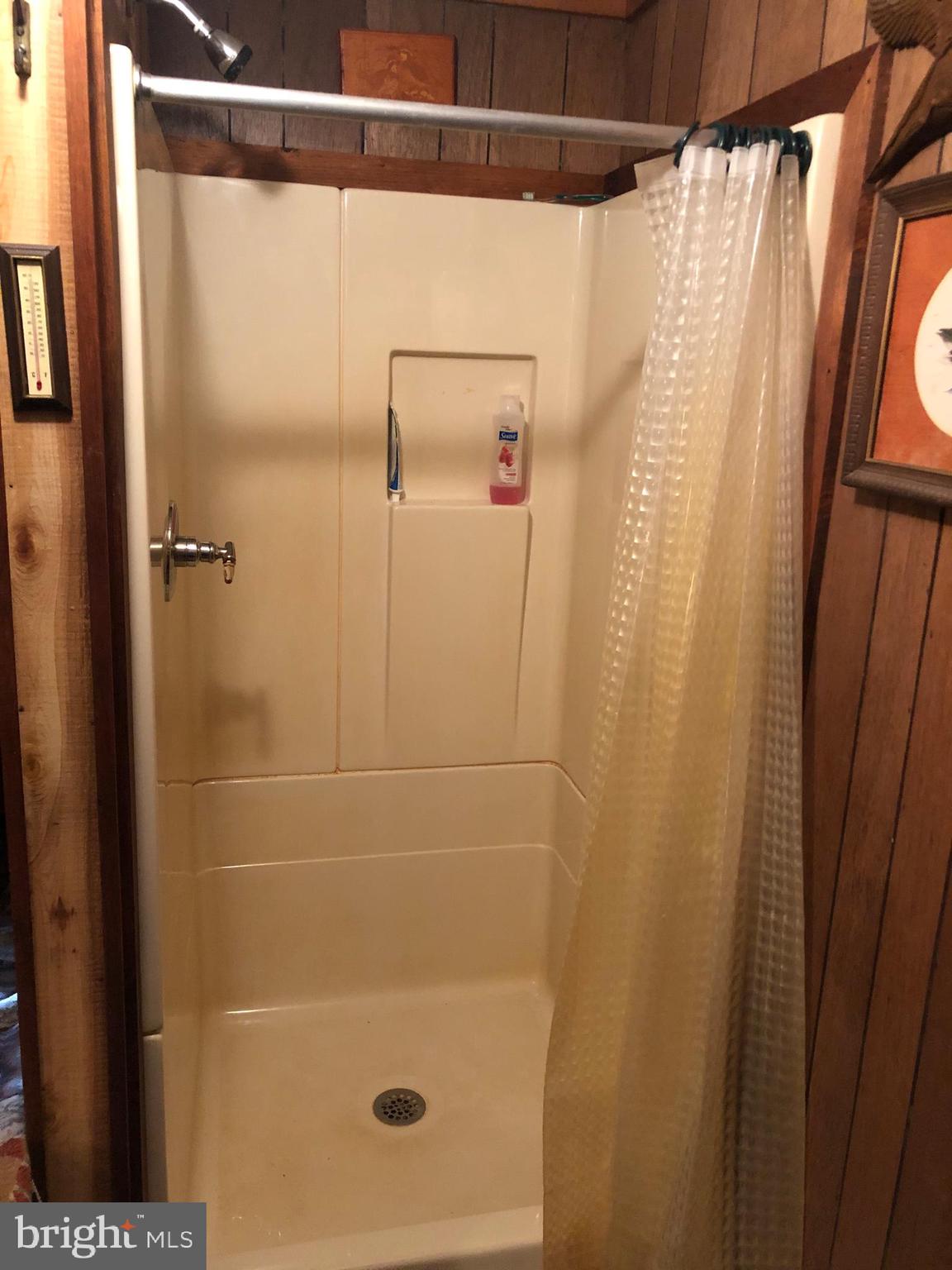 4752 Laurel Run Road Newville, PA 17241 - Photo 15 of 36 Modern Hot and Cold Shower
