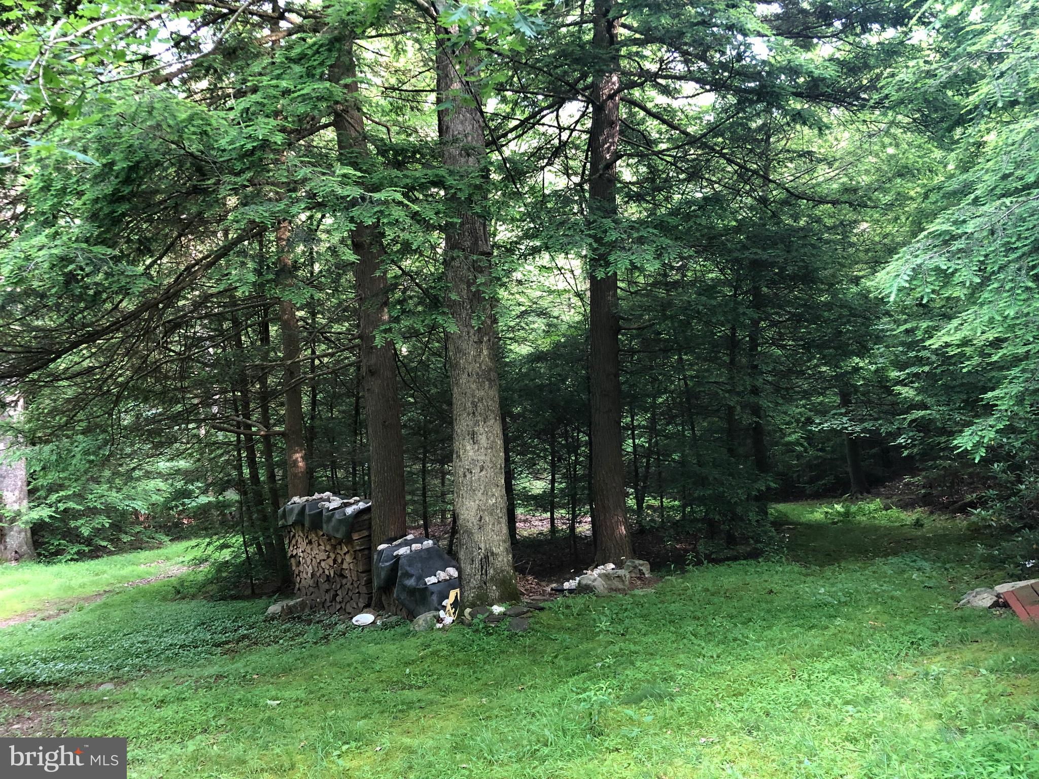 4752 Laurel Run Road Newville, PA 17241 - Photo 19 of 36 Circle Drive