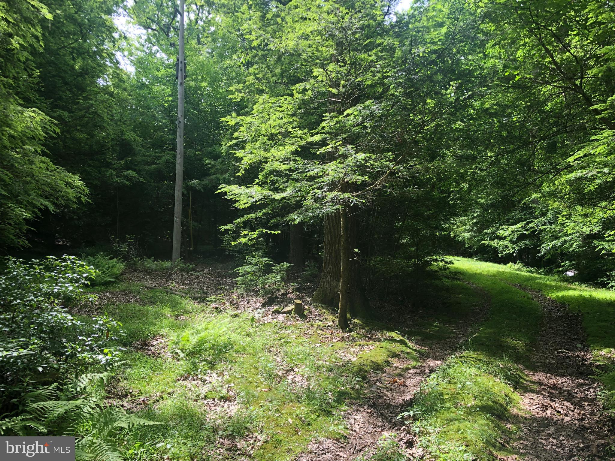 4752 Laurel Run Road Newville, PA 17241 - Photo 20 of 36 Circle exit