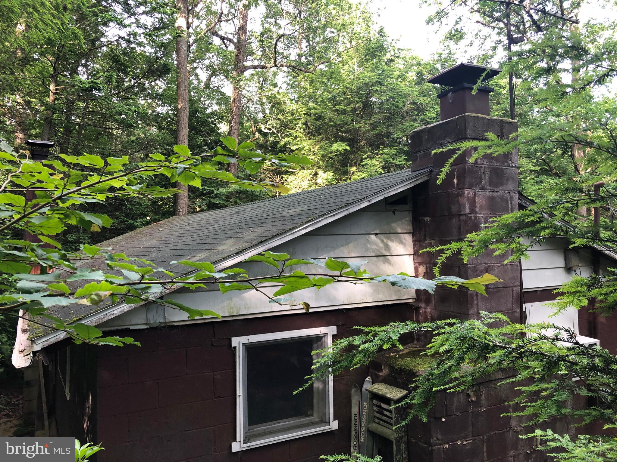 4752 Laurel Run Road Newville, PA 17241 - Photo 3 of 36 Fireplace Chimney and shingled Roof