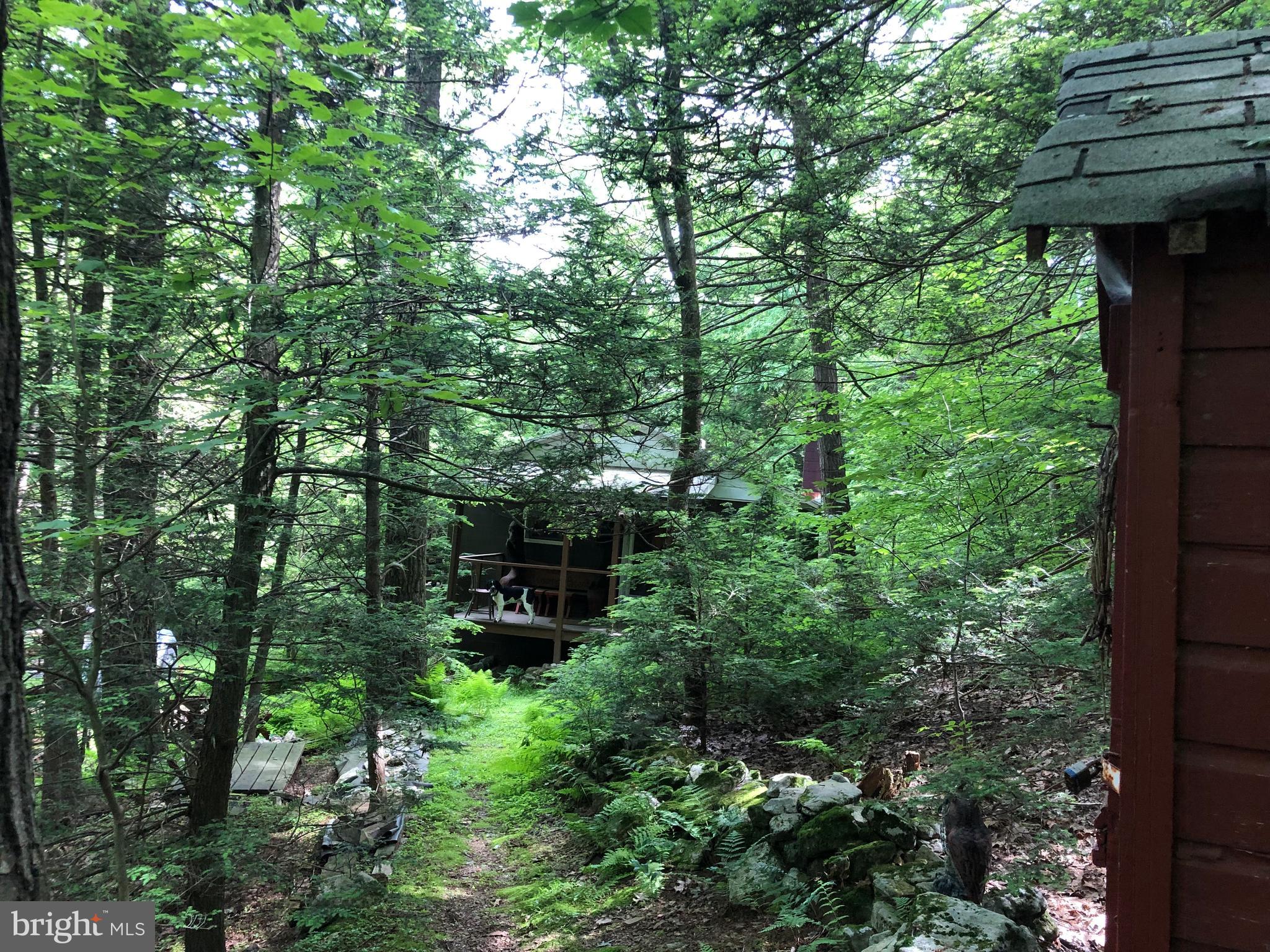4752 Laurel Run Road Newville, PA 17241 - Photo 23 of 36 Walk to side porch