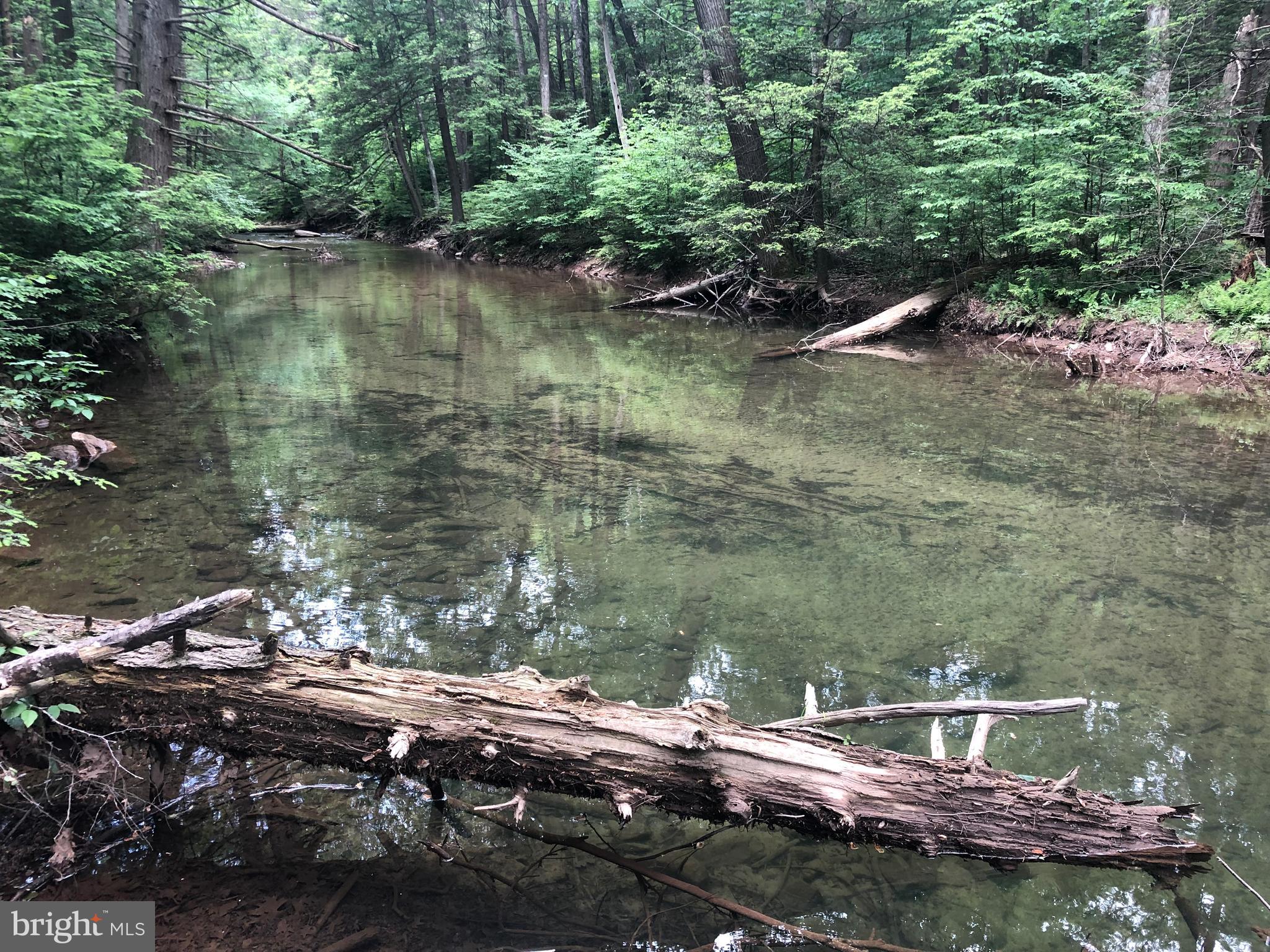 4752 Laurel Run Road Newville, PA 17241 - Photo 29 of 36 Laurel Run