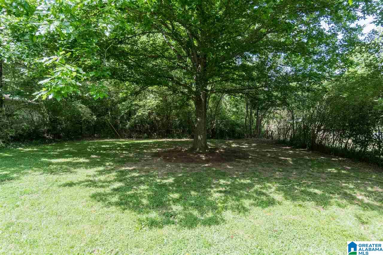 224 Rockaway Road Birmingham, AL 35209 - Photo 27 of 28