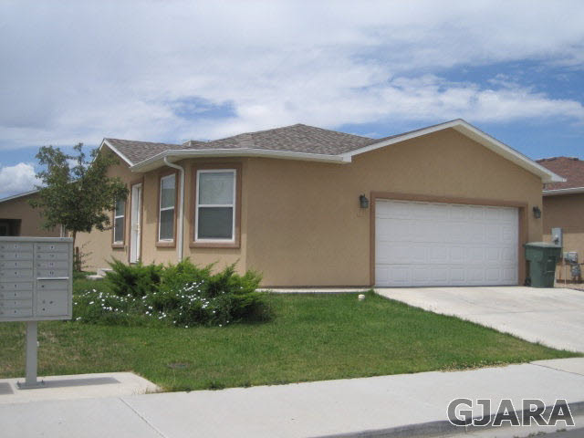 a backyard of a house with plants and palm tree