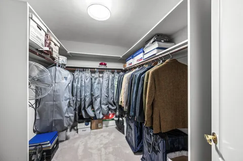 a garden view with tall trees