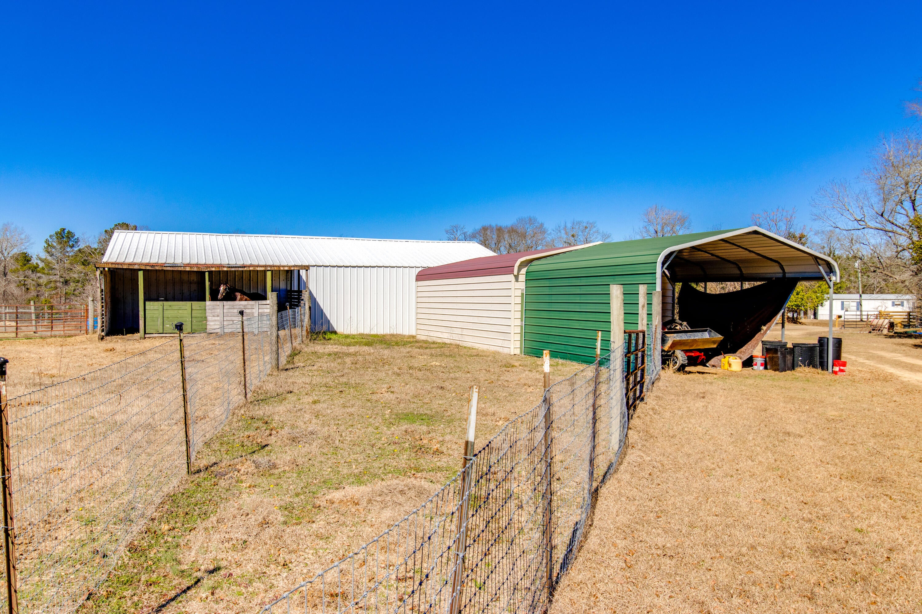 1080 Fox Young Road Wagener, SC 29164 - Photo 33 of 65 37-print-2026 02 16 - 1080 Fox Young Roa
