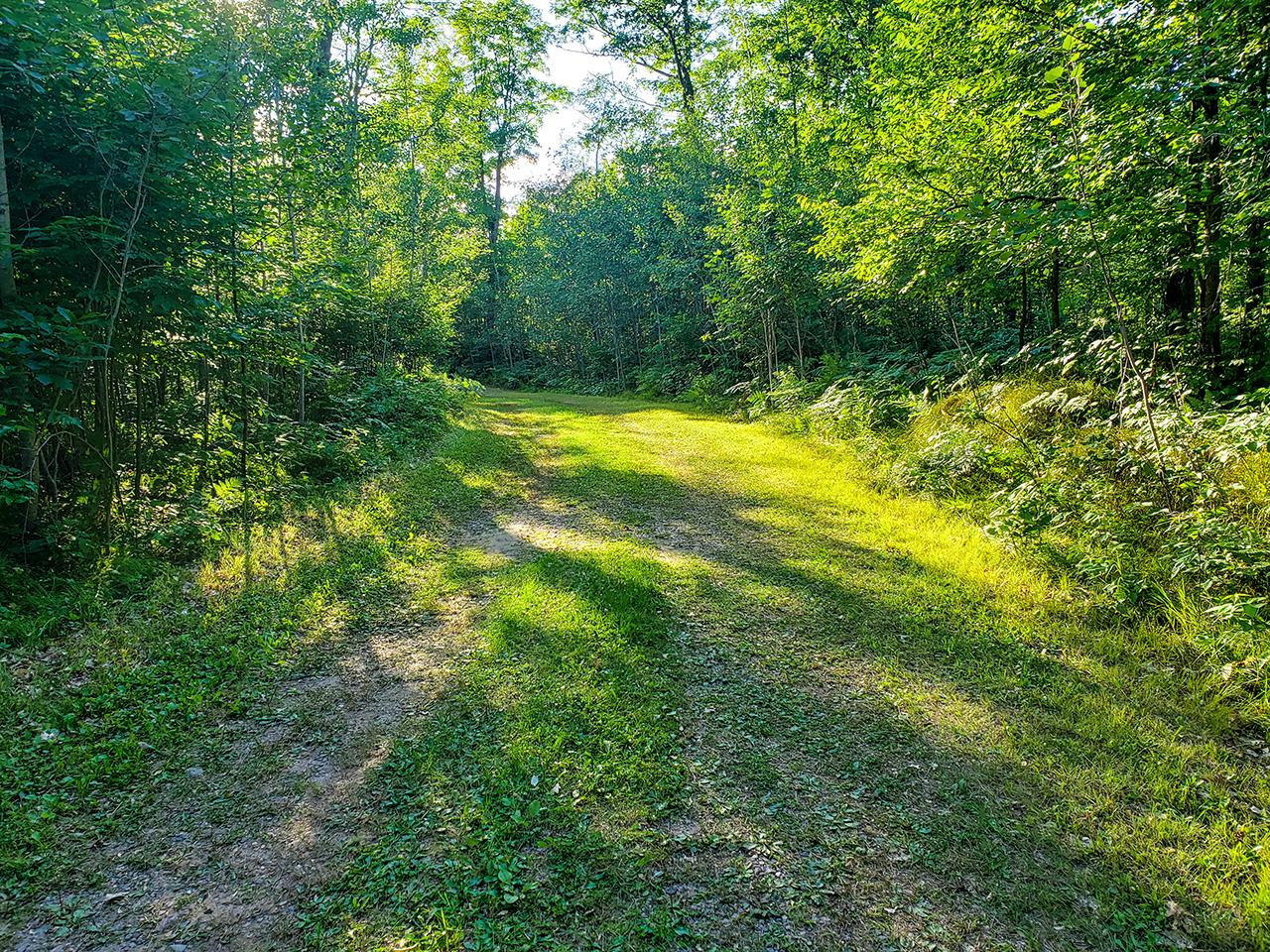 4680 Currie Lake Road Harshaw, WI 54529 - Photo 31 of 42 Gallery Image 31