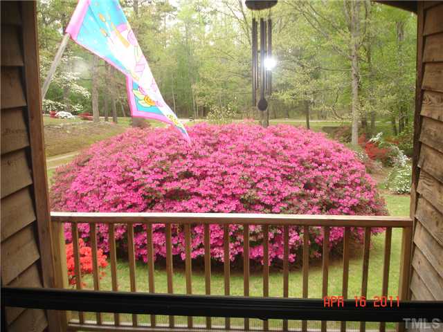 LOOKING OUT FRONT DOOR