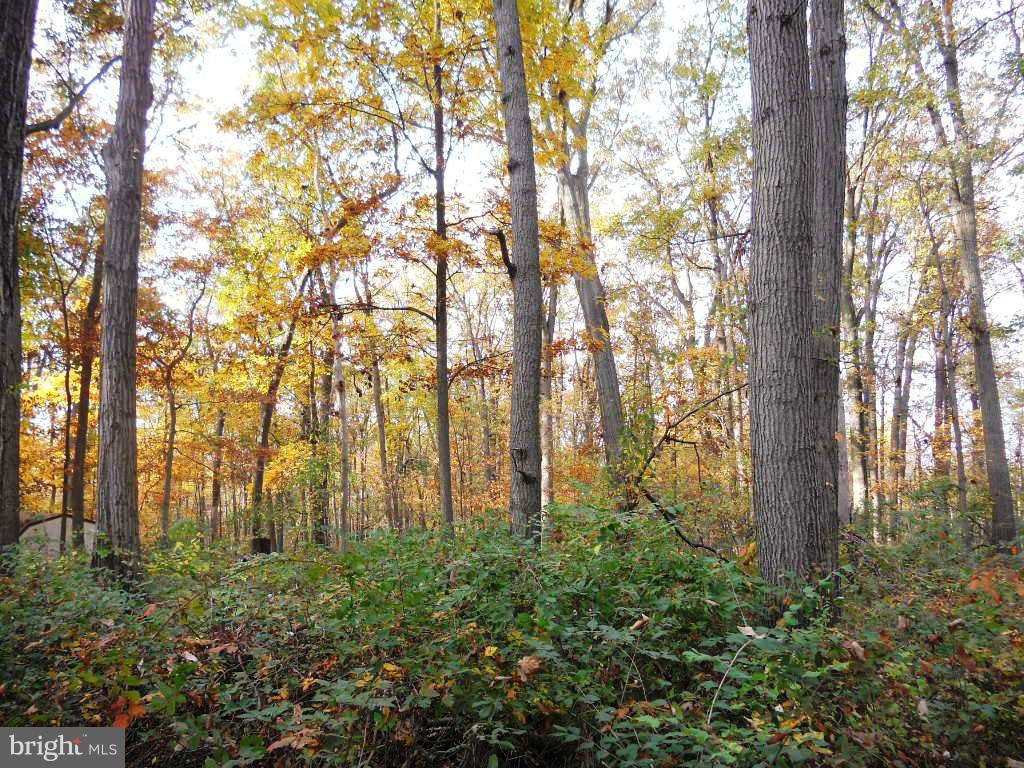 1410 Pinch Valley Road Westminster, MD 21158 - Photo 12 of 20 View