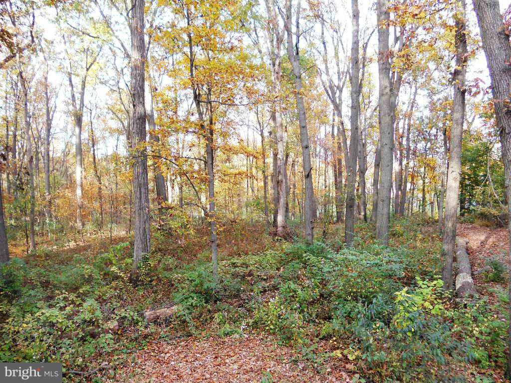 1410 Pinch Valley Road Westminster, MD 21158 - Photo 14 of 20 View
