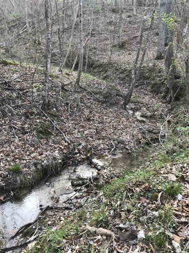 0 Dunlow Hill Road Dunlow, WV 25511 - Photo 9 of 10 Gallery Image 9