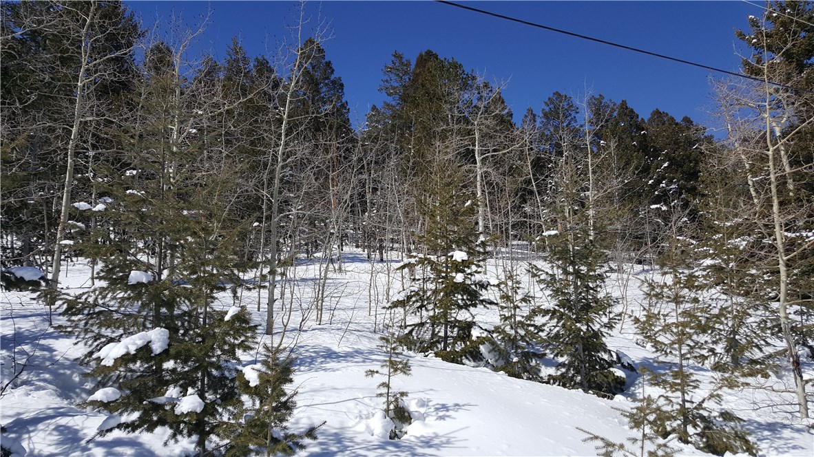 Lot 499 Redhill Road Fairplay, CO 80440 - Photo 31 of 32 Gallery Image 31
