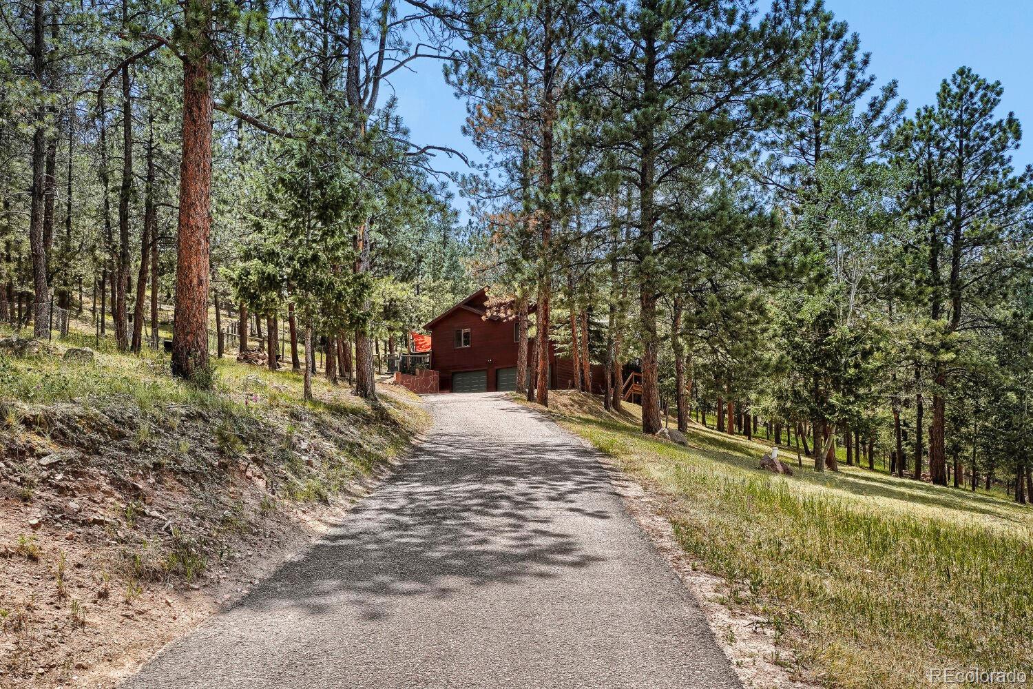 715 Mockingbird Trail Bailey, CO 80421 - Photo 2 of 34