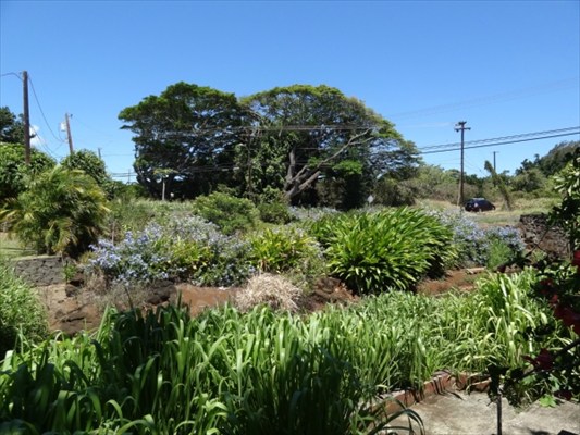 3339 Waikomo Road Koloa, HI 96756 - Photo 12 of 19 Gallery Image 12