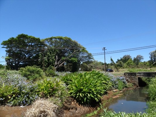 3339 Waikomo Road Koloa, HI 96756 - Photo 13 of 19 Gallery Image 13