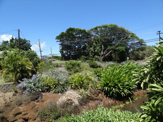 3339 Waikomo Road Koloa, HI 96756 - Photo 14 of 19 Gallery Image 14