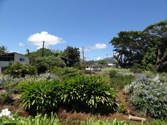 3339 Waikomo Road Koloa, HI 96756 - Photo 15 of 19 Gallery Image 15