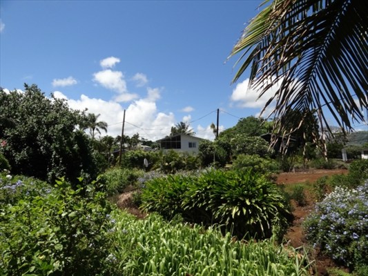3339 Waikomo Road Koloa, HI 96756 - Photo 16 of 19 Gallery Image 16