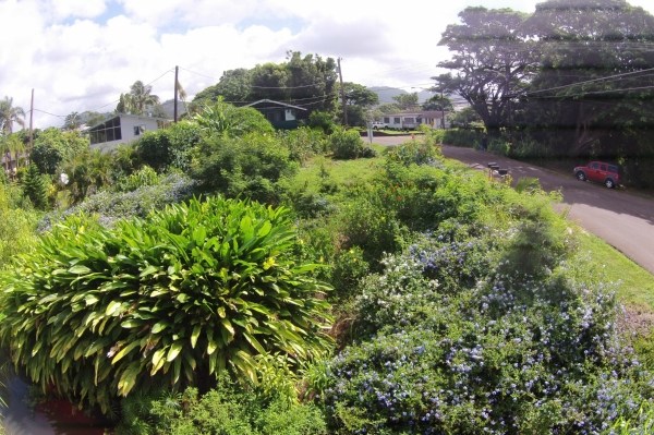 3339 Waikomo Road Koloa, HI 96756 - Photo 5 of 19 Gallery Image 5