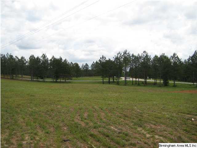Griffin Road, Unit C Chelsea, AL 35043 - Photo 3 of 8