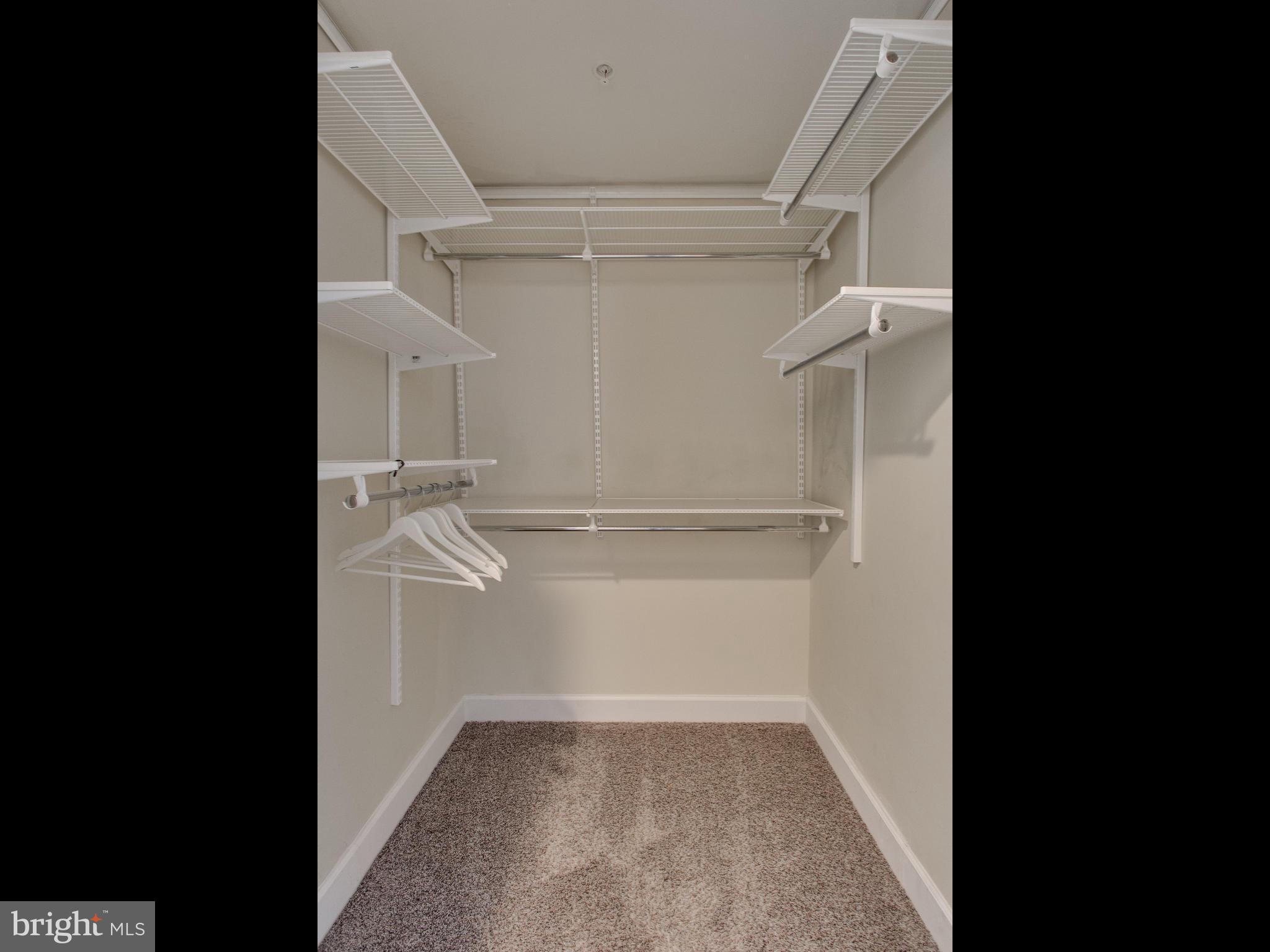 3650 South Glebe Road, Unit 246 Arlington, VA 22202 - Photo 13 of 30 Walk-in Closet