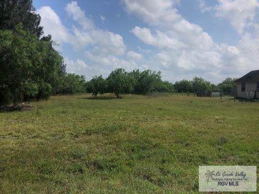 346 Roberta Road Los Fresnos, TX 78566 - Photo 1 of 1 Gallery Image 1