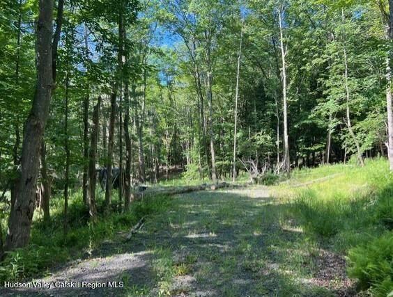 98 Norwegian Road Prattsville, NY 12468 - Photo 3 of 13 11401415-wyRdcYv5TTdg7rhD