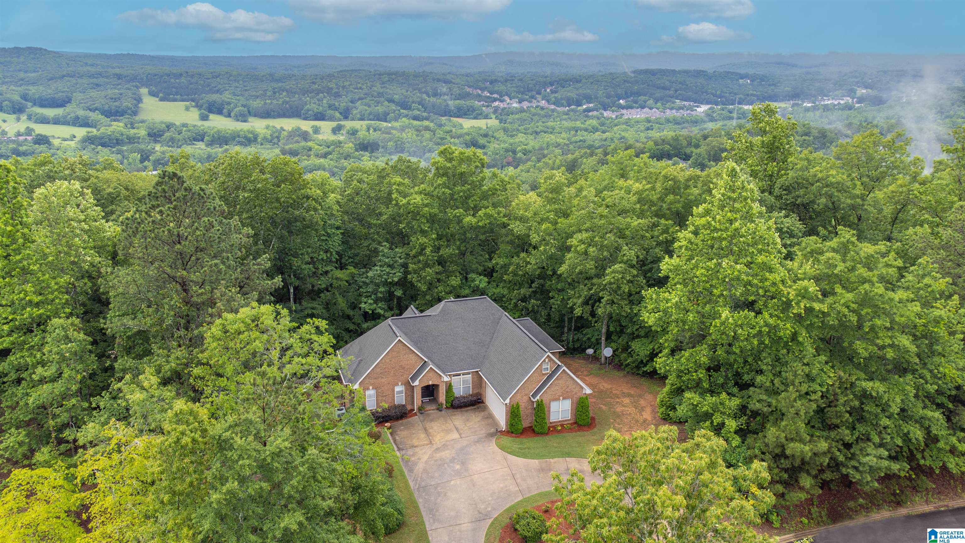 121 Middle Rdg Trail Springville, AL 35146 - Photo 3 of 45