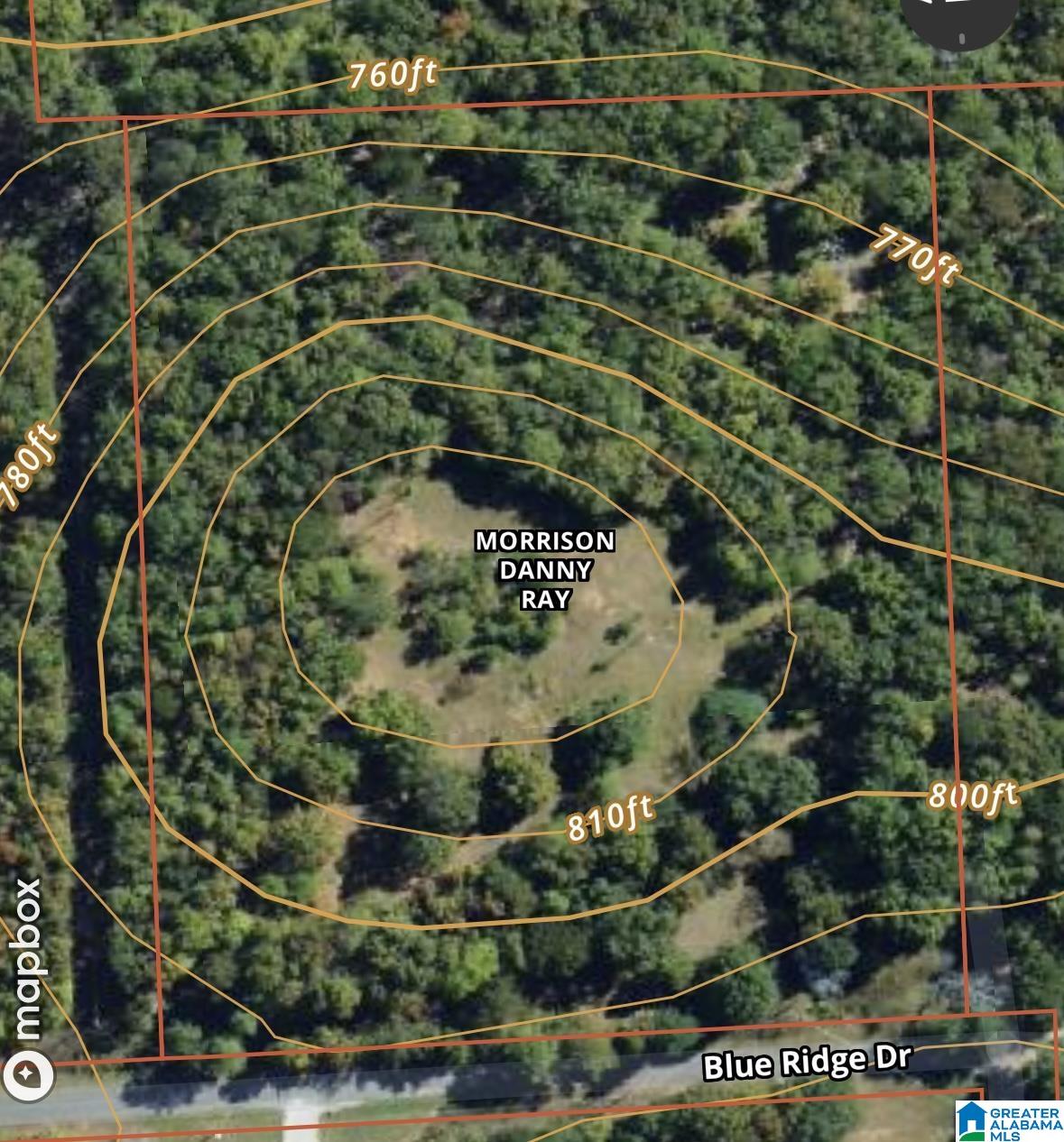 0 Blue Ridge Drive Talladega, AL 35160 - Photo 5 of 14