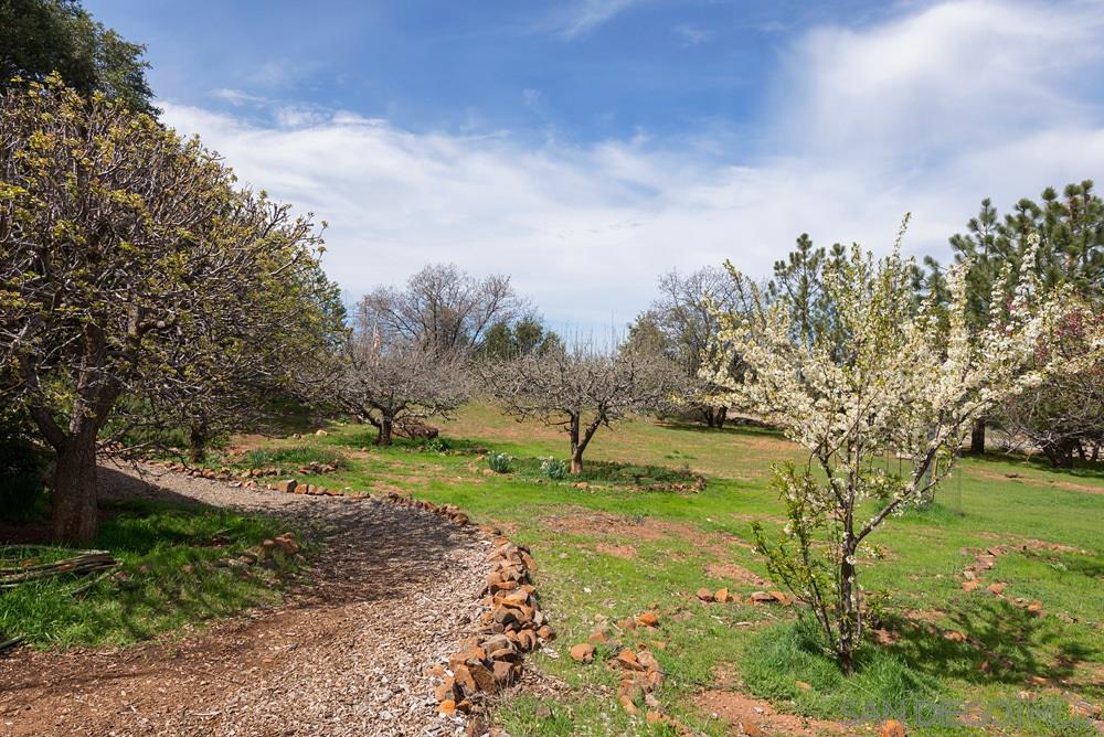 5616 Grandview Road Julian, CA 92036 - Photo 22 of 25 Gallery Image 22