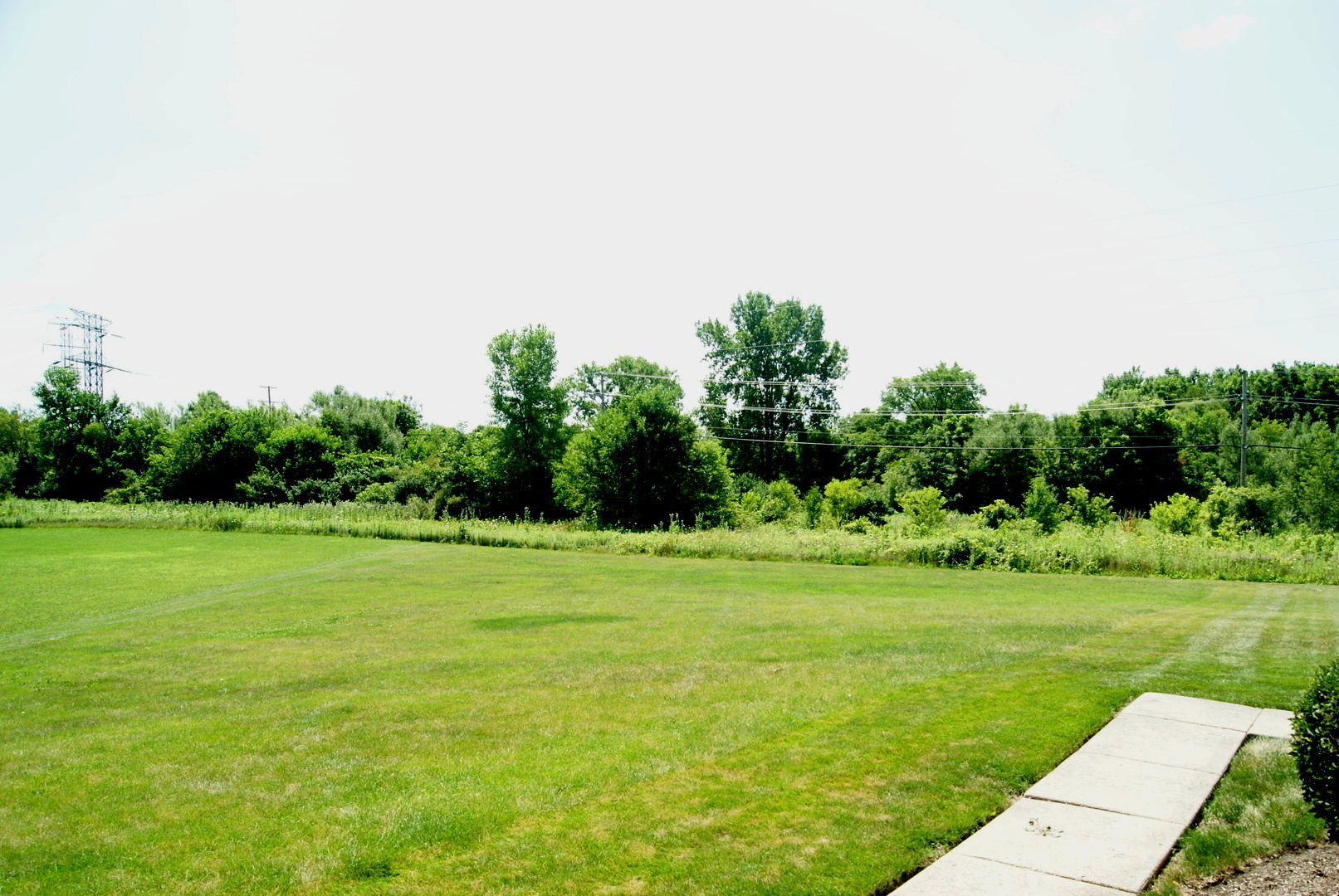 264 Circlegate Road New Lenox, IL 60451 - Photo 27 of 28 a big yard with lots of green space